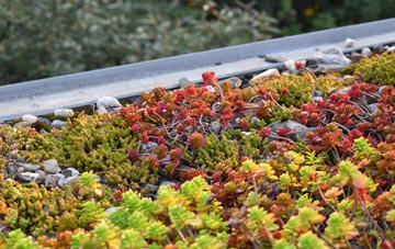the cost of Melin Caiach green roof installation