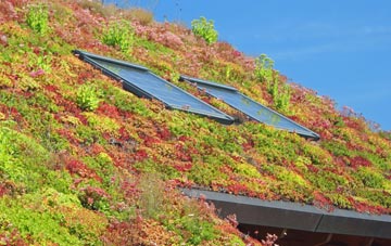 Melin Caiach living roof systems