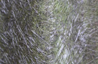 Melin Caiach fibreglass roof work